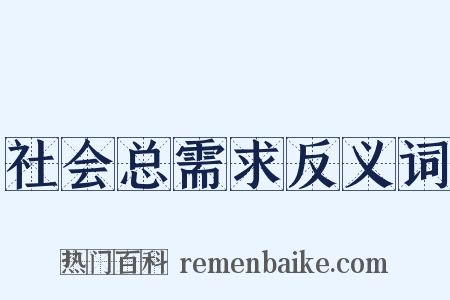 社会总需求反义词是什么意思的图片